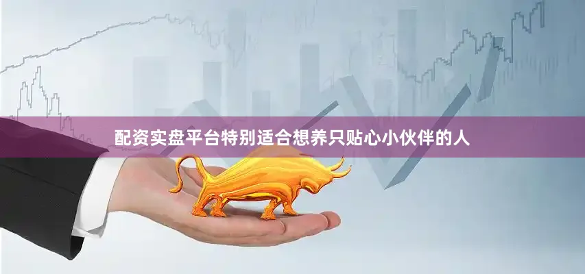 配资实盘平台特别适合想养只贴心小伙伴的人