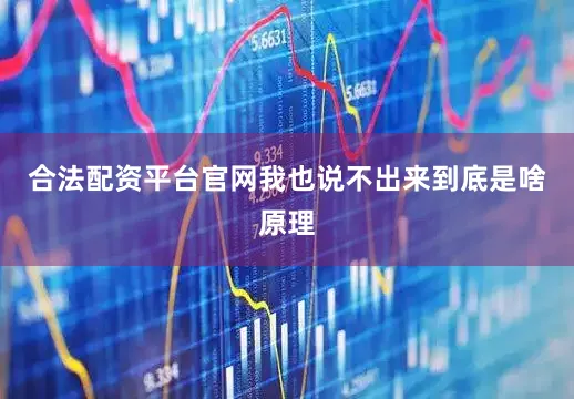 合法配资平台官网我也说不出来到底是啥原理