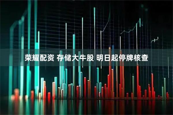 荣耀配资 存储大牛股 明日起停牌核查